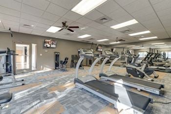 Apartment gym with treadmills, weight machines, and a mirrored wall.