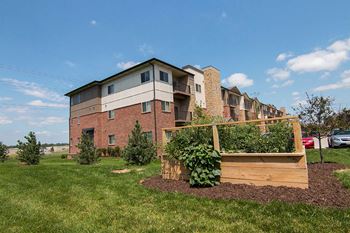 Community garden with raised beds