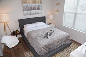 Metuchen apartment for rent - a bedroom with a bed and two windows