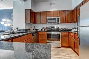 Irving apartment for rent - Luxurious newly renovated kitchen, Stainless steel appliances, black and grey granite counter tops, chestnut brown cabinets and faux wood floors.