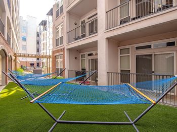 A hammock 
