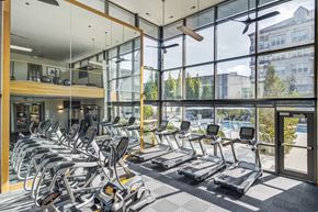 Brookhaven apartment for rent - a gym with cardio machines and floor to ceiling windows