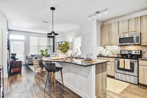 Brookhaven apartment for rent - an open kitchen and living room with a large island with a counter top