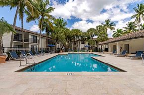 Boca Raton apartment for rent - A swimming pool surrounded by palm trees and lounge chairs.