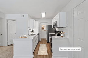 Houston apartment for rent - Renovated Kitchen