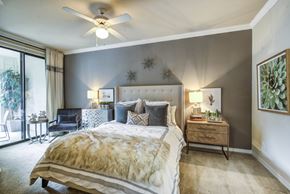Dallas apartment for rent - TC Bedroom 1