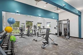 Houston apartment for rent - Fitness Center