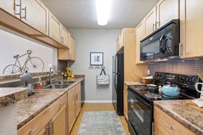 Dallas apartment for rent - a kitchen with granite counter tops and a black stove and refrigerator