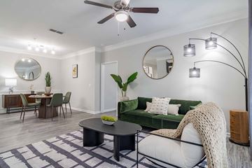 Duluth apartment for rent - A living room with a green couch and a black table.