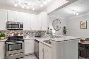 Duluth apartment for rent - Kitchen