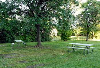 Outdoor picnic area