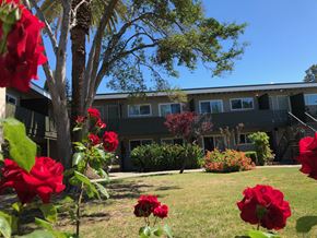 Palo Alto apartment for rent - Midtown Apartments 2727 Midtown Court Palo Alto, CA 94303