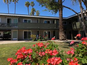 Palo Alto apartment for rent - Midtown Apartments 2727 Midtown Court Palo Alto, CA 94303