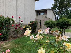 Sunnyvale apartment for rent - a flower garden in front of a white building