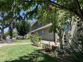 Sunnyvale apartment for rent - a house with a yard and a tree in front of it