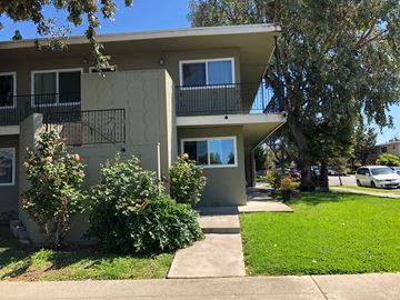 Sunnyvale apartment for rent - an apartment building with a sidewalk and trees in front of it