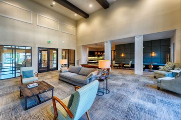 Houston apartment for rent - A living room with a grey couch and a blue chair.