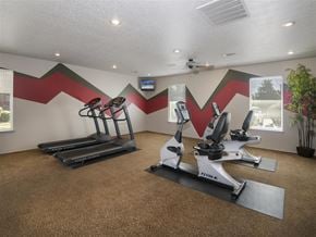 Conway apartment for rent - the gym at the apartments for rent