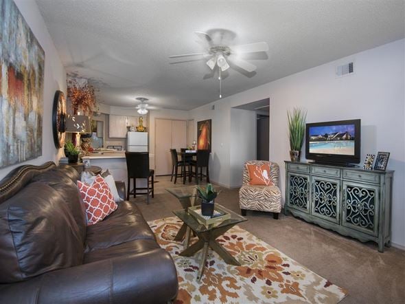 Conway apartment for rent - a living room with a couch and a tv