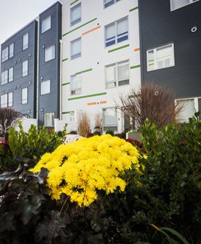 Newark apartment for rent - Outside Courtyard