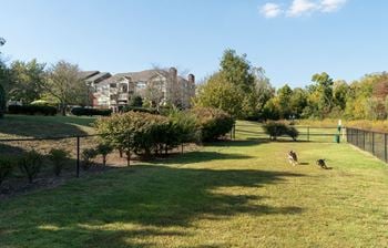 Pet-park