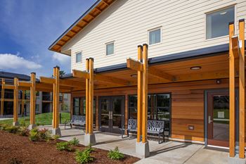Cedar siding