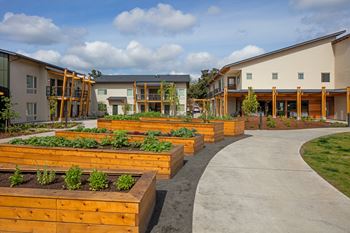 Community garden
