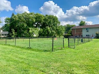 2 Dog parks