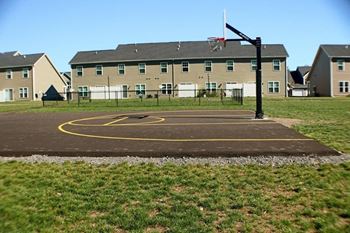 Basketball court