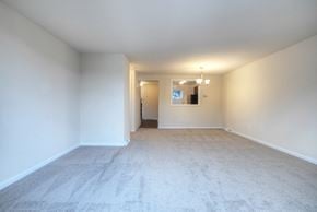 Williamsville townhouse for rent - Bright Living Room at Georgetown Apartments, Williamsville, NY