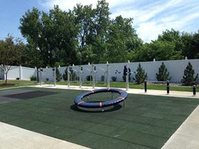 Maple Grove apartment for rent - A playground with a blue and orange ring in the middle.