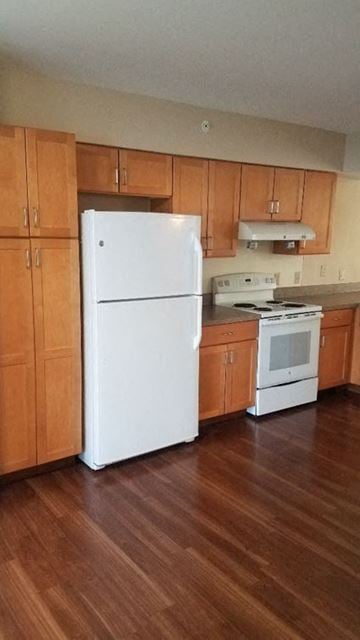 Amherst apartment for rent - a kitchen with wooden cabinets and a white refrigerator
