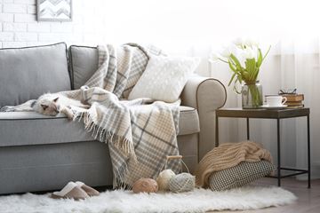 San Antonio apartment for rent - A cozy living room with a grey couch covered in a plaid blanket and pillows.
