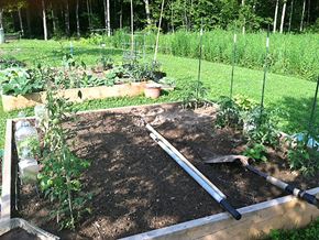Saco apartment for rent - A garden with a lot of vegetables growing in it.