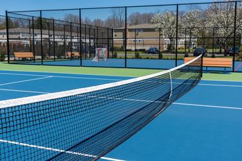 Tennis court