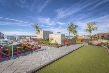 Large roof sun-deck with bbq areas