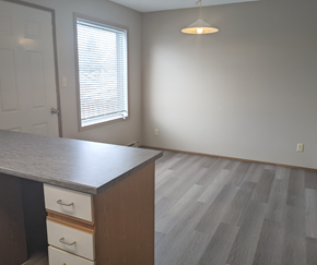 Brandon apartment for rent - A room with a desk and drawers.