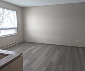 Brandon apartment for rent - A room with a window and wooden flooring.