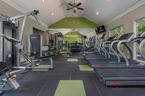 Orlando apartment for rent - a gym with weights and cardio equipment and a ceiling fan