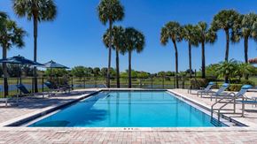 Davie apartment for rent - A swimming pool surrounded by palm trees and lounge chairs.