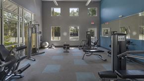 Altamonte Springs apartment for rent - a gym with weights and other equipment in a building with windows