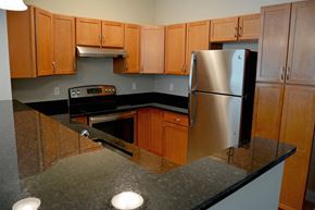 Boston apartment for rent - a kitchen with granite counter tops and a stainless steel refrigerator