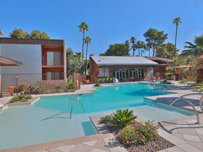 Tucson apartment for rent - A swimming pool surrounded by palm trees and a building.