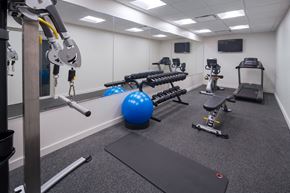 Chicago apartment for rent - a gym with exercise equipment and weights in a building