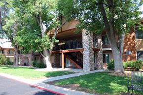 Fort Collins apartment for rent - Village on Stanford exterior features trees and green lawns