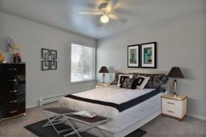 Fort Collins apartment for rent - Village on Stanford bedroom with window and ceiling fan
