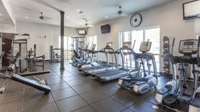 Mount Pleasant apartment for rent - a gym with cardio equipment and a large window