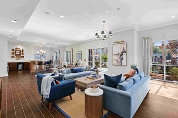 Mount Pleasant apartment for rent - A living room with a blue couch and a wooden floor.