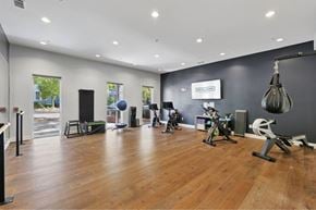 Mount Pleasant apartment for rent - A gym with a variety of equipment including a treadmill, weights, and a punching bag.