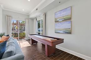 Mount Pleasant apartment for rent - A pool table in a room with a view of a tree-lined landscape.